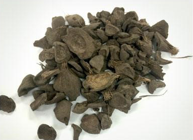 Sales of PKS biomass fuel begin